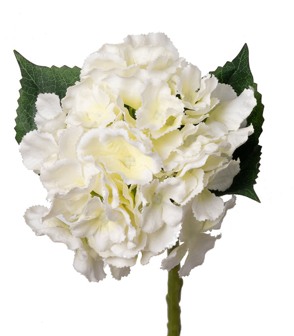 French hydrangea White- Set of 2