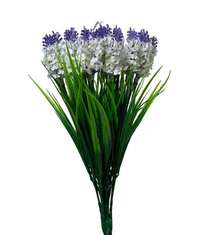 Hyacinth White - Set of 2