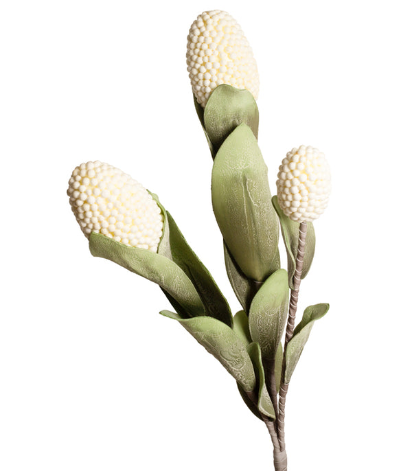 Corn Stalk - White