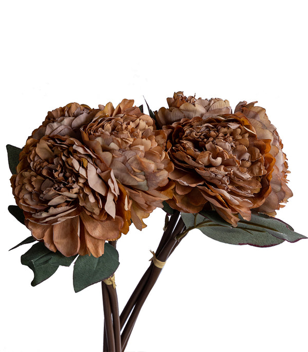 Autumn Peony Brown- Set of 2