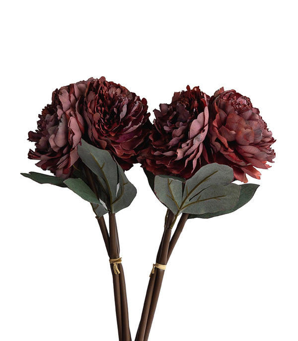 Autumn Peony Maroon- Set of 2