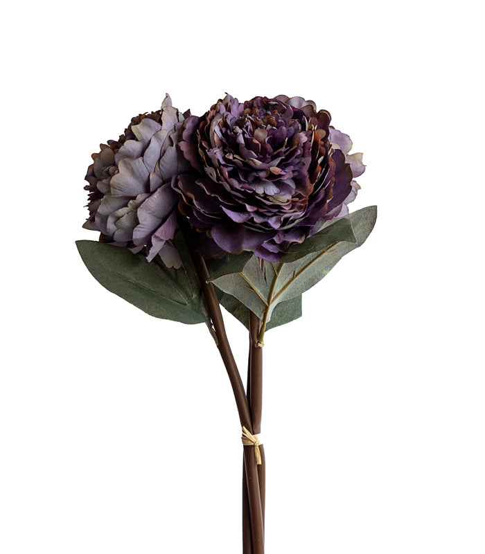 Autumn Peony Purple- Set of 2