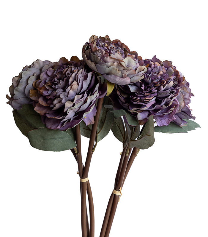 Autumn Peony Purple- Set of 2