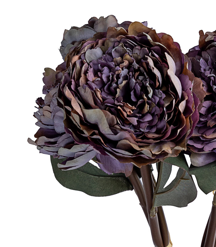 Autumn Peony Purple- Set of 2