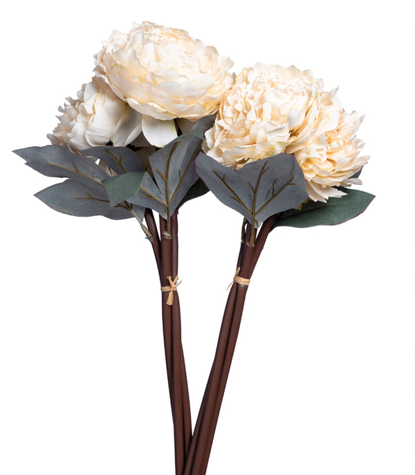 Autumn Peony White- Set of 2