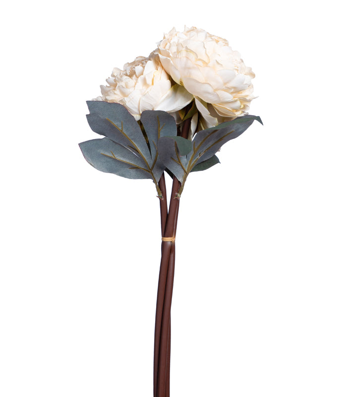 Autumn Peony White- Set of 2