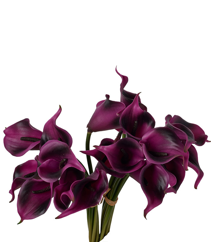 Callalily Bunch - Purple