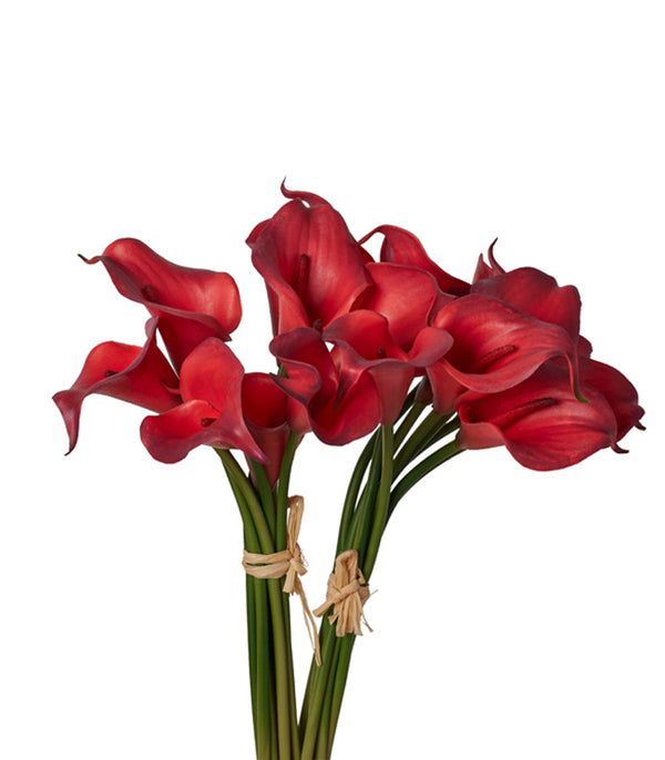 Callalily Bunch - Red