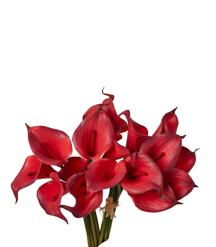 Callalily Bunch - Red