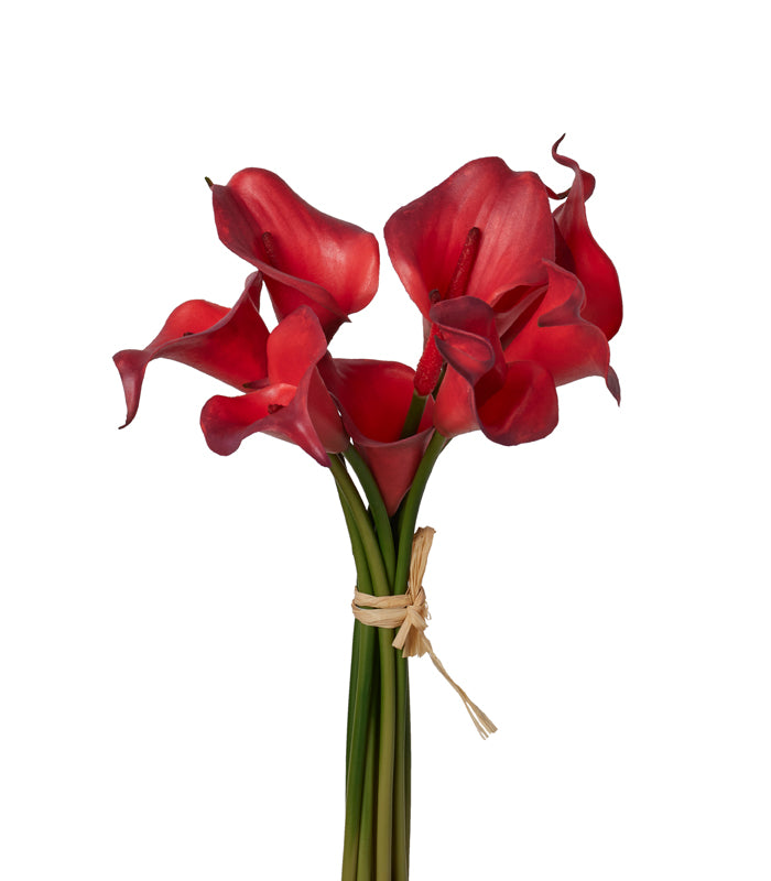 Callalily Bunch - Red