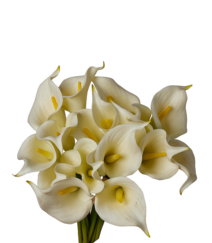 Callalily Bunch - White