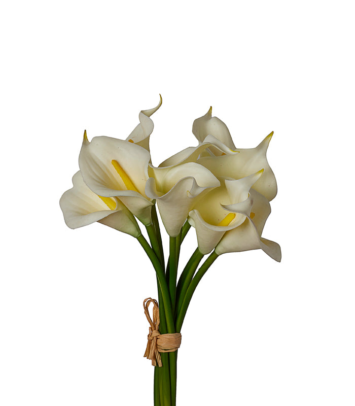 Callalily Bunch - White