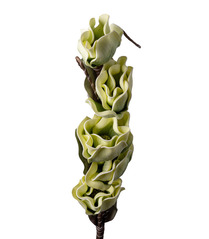 Camellia Green - Set of 2