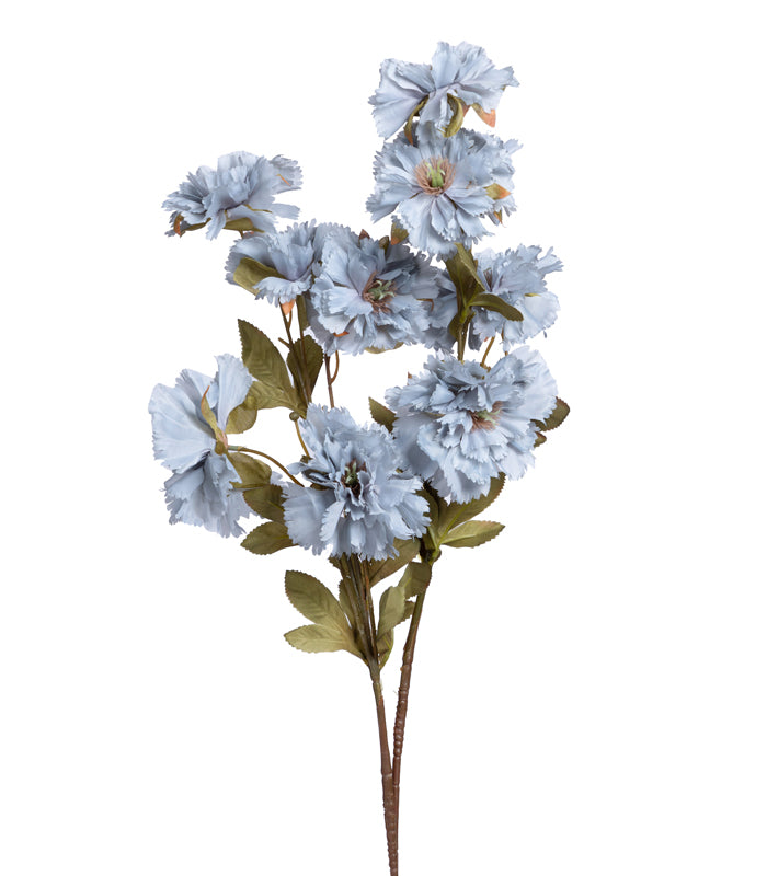 Carnation Blue - Set of 2
