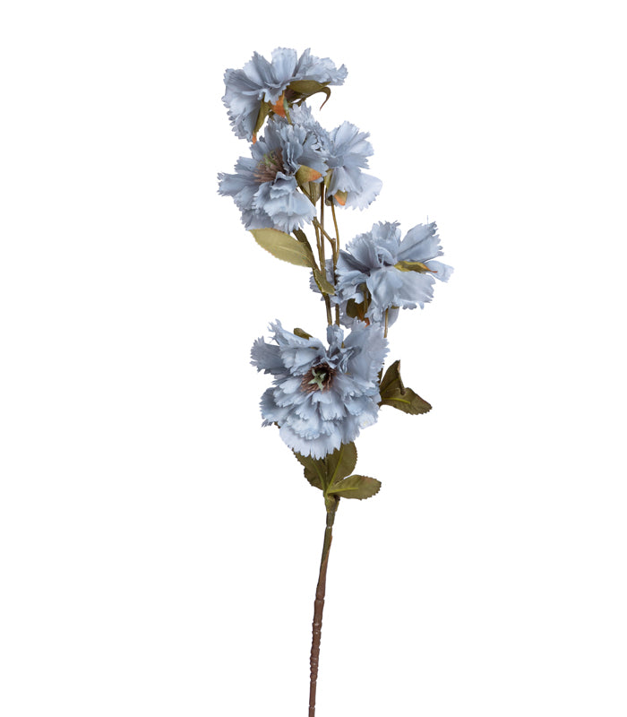 Carnation Blue - Set of 2