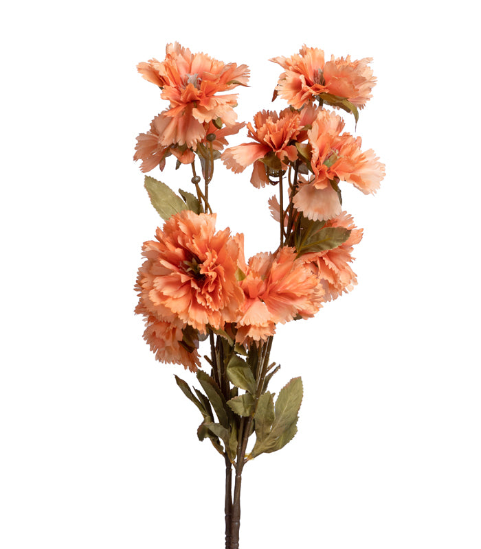 Carnation Orange - Set of 2