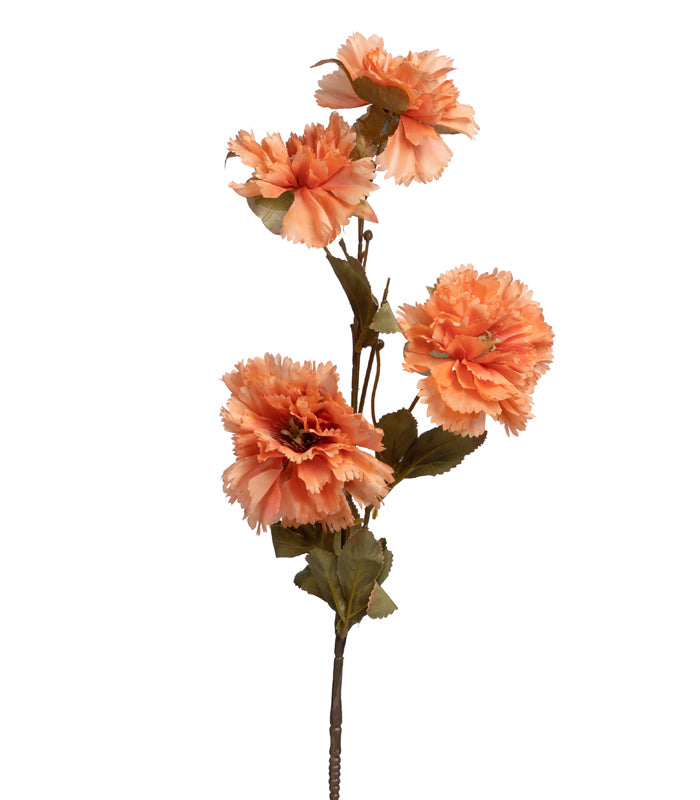 Carnation Orange - Set of 2