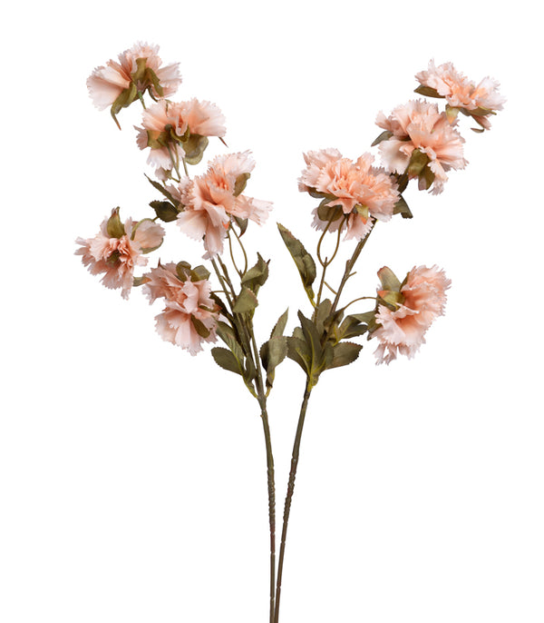 Carnation Peach - Set of 2