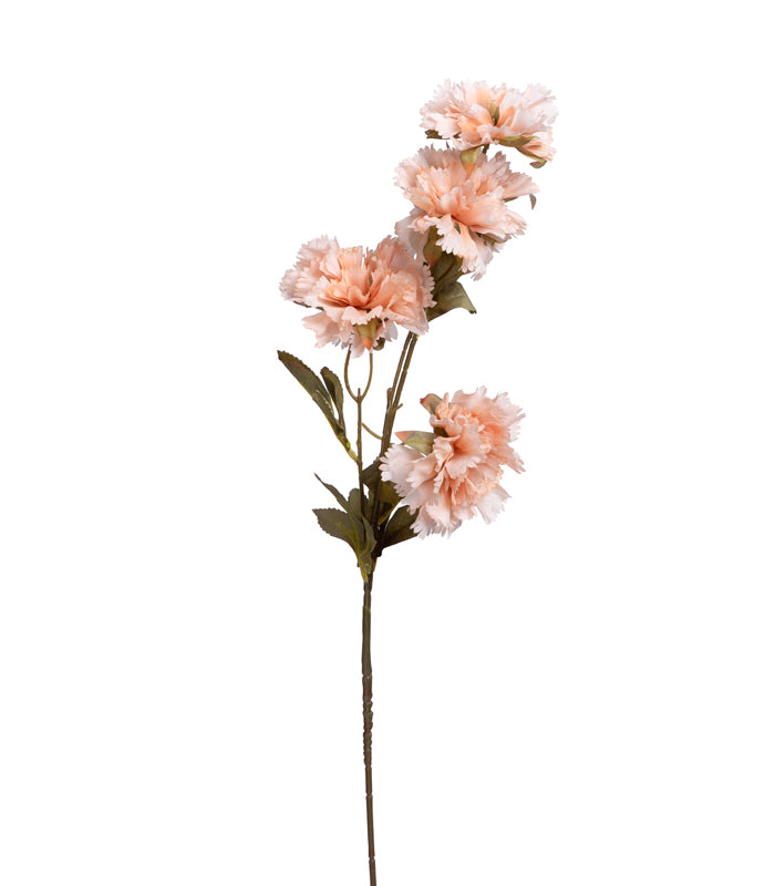 Carnation Peach - Set of 2