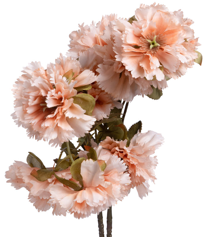 Carnation Peach - Set of 2