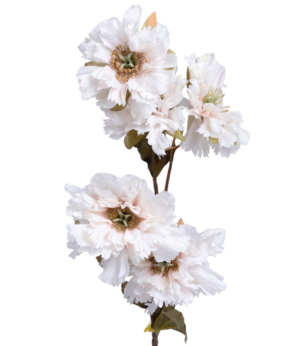 Carnation Shaded - Set of 2