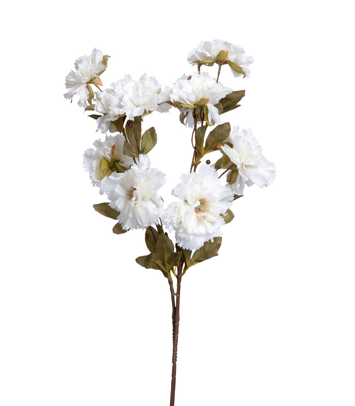 Carnation White - Set of 2