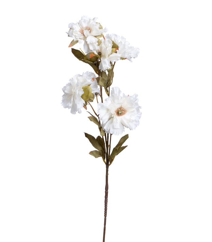 Carnation White - Set of 2