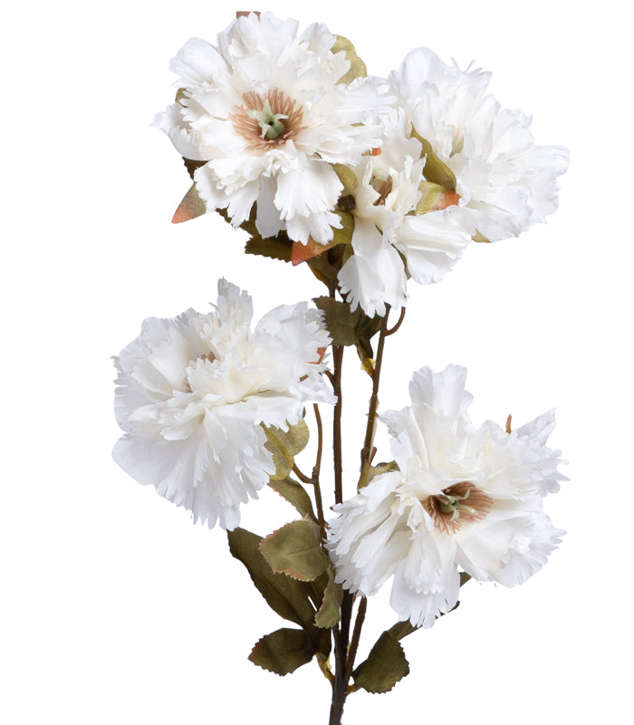 Carnation White - Set of 2
