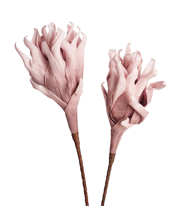 Cellulose Light Pink - Set of 2