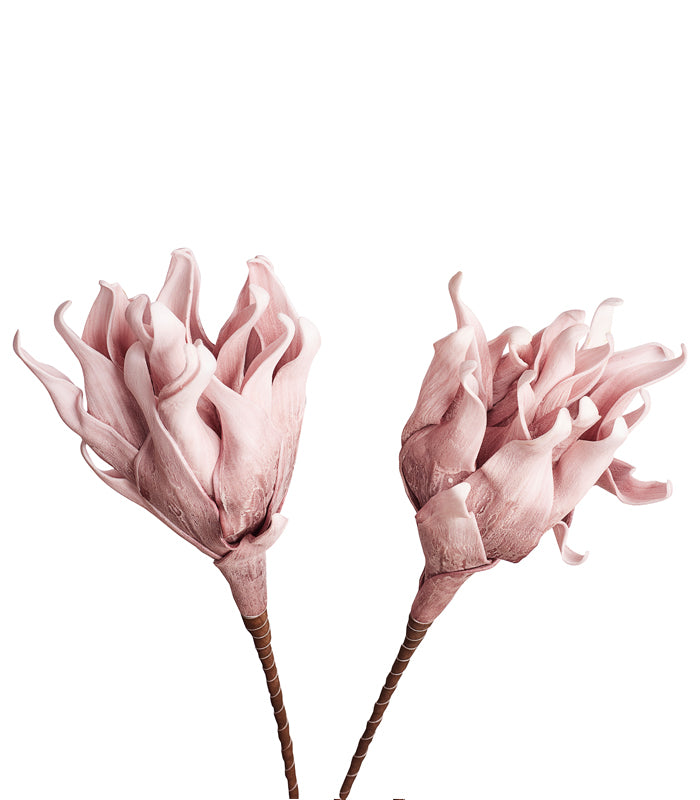 Cellulose Light Pink - Set of 2
