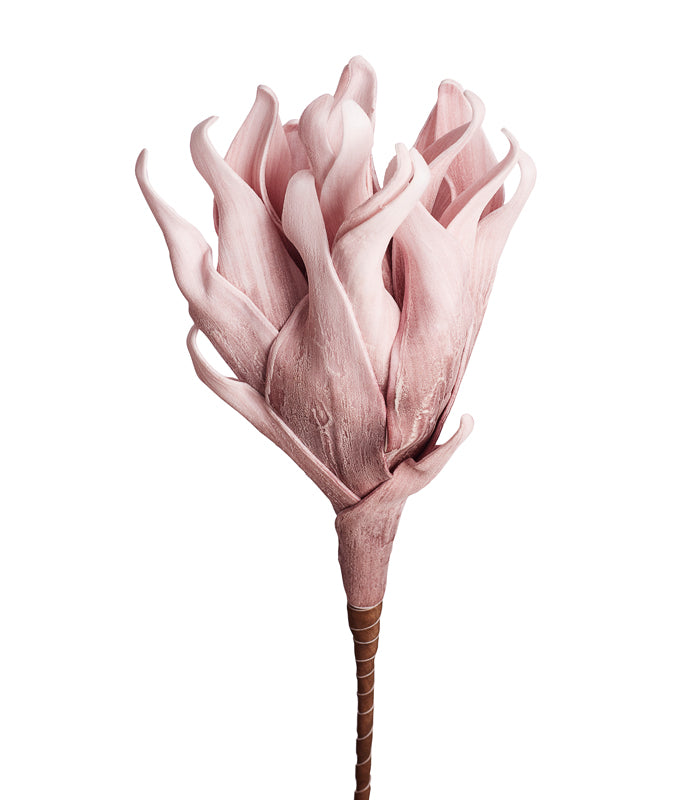 Cellulose Light Pink - Set of 2