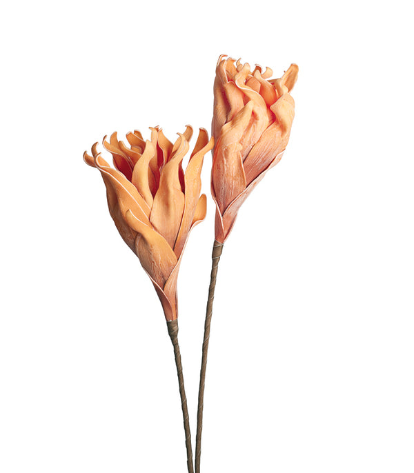 Cellulose Orange - set of 2