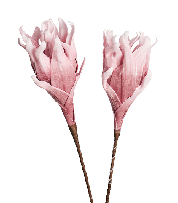 Cellulose Pink - Set of 2