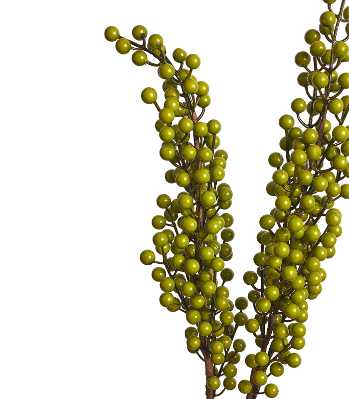 Cherry Green - Set of 2