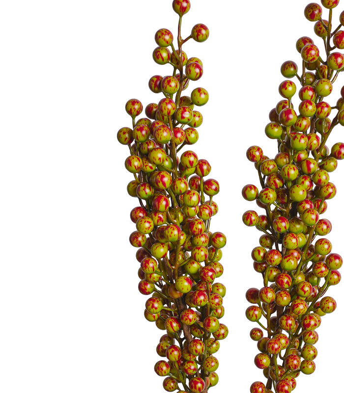 Cherry Olive - Set of 2