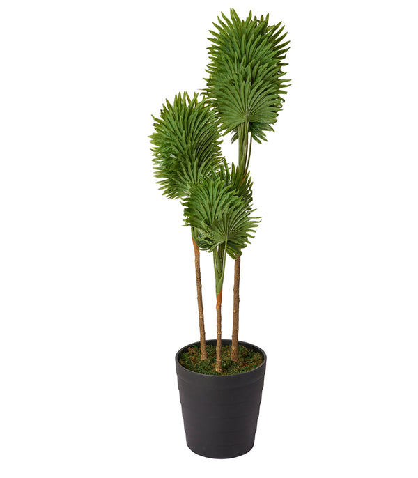 Clathia Palm Artificial Plant