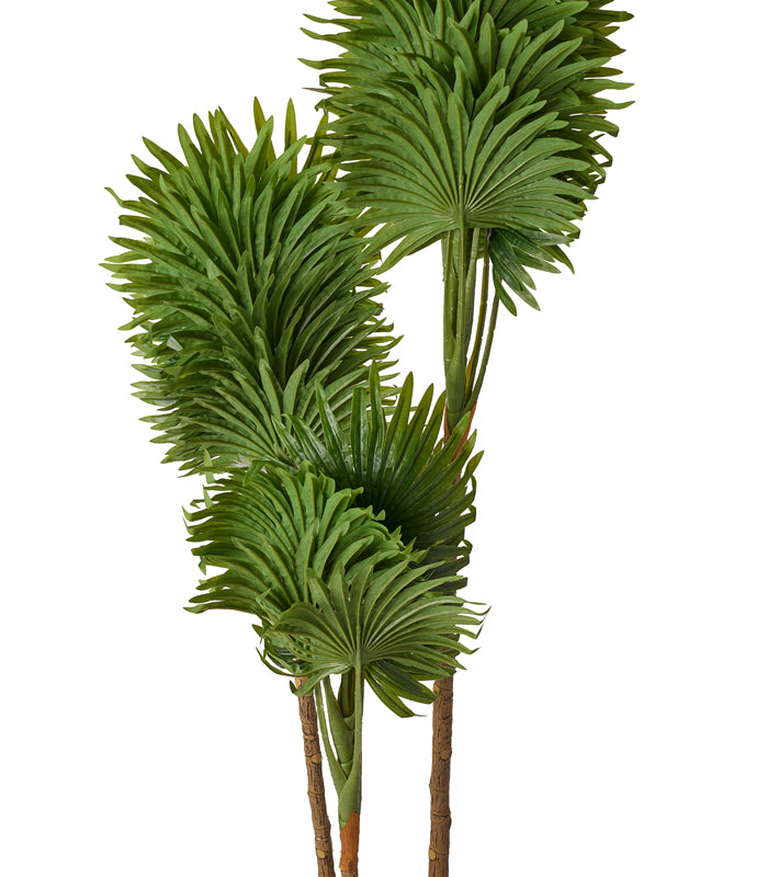 Clathia Palm Artificial Plant