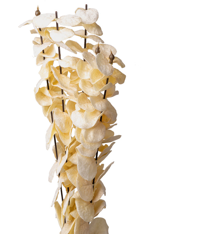 Eucalyptus White- Set of 2