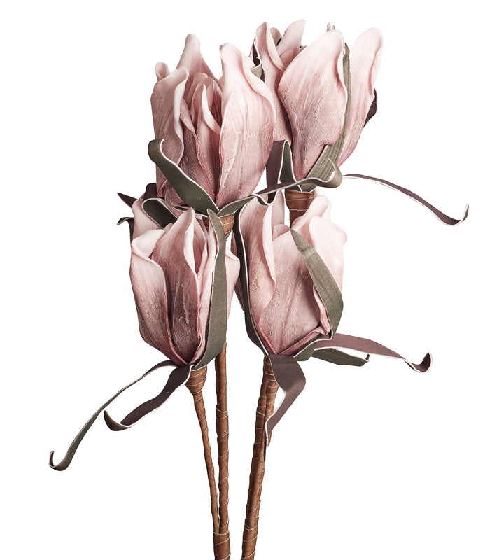 Eva Pink - Set of 2
