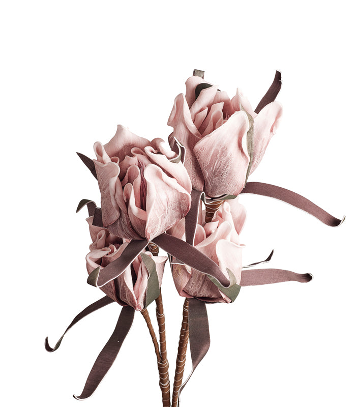 Eva Pink - Set of 2