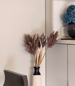 Fern asparagus Brown - set of 2 – htohshop