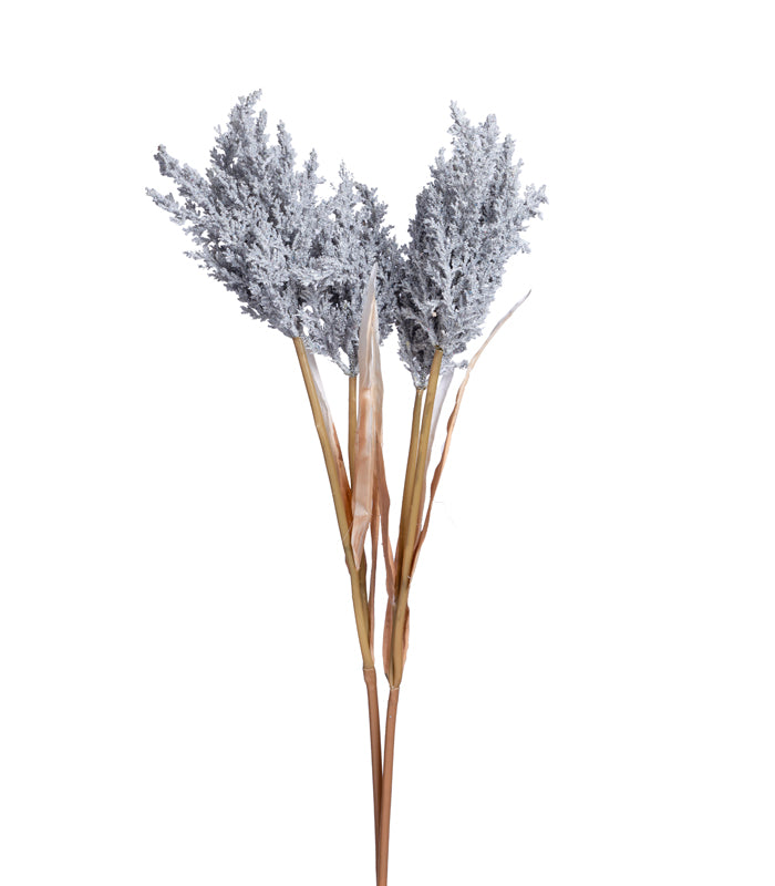 Fern asparagus Grey - set of 2