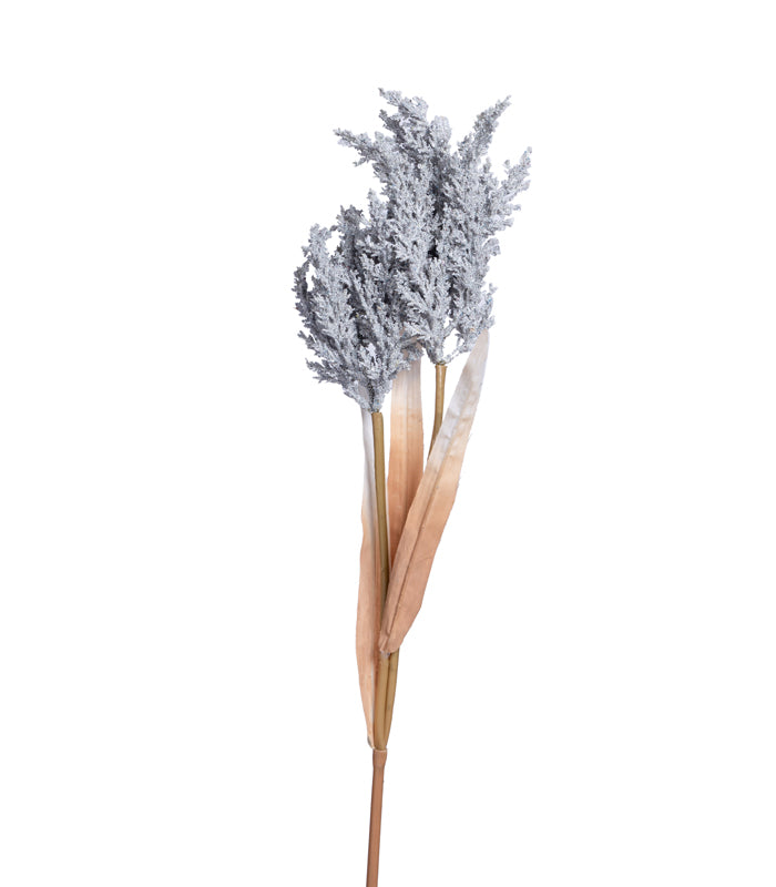 Fern asparagus Grey - set of 2
