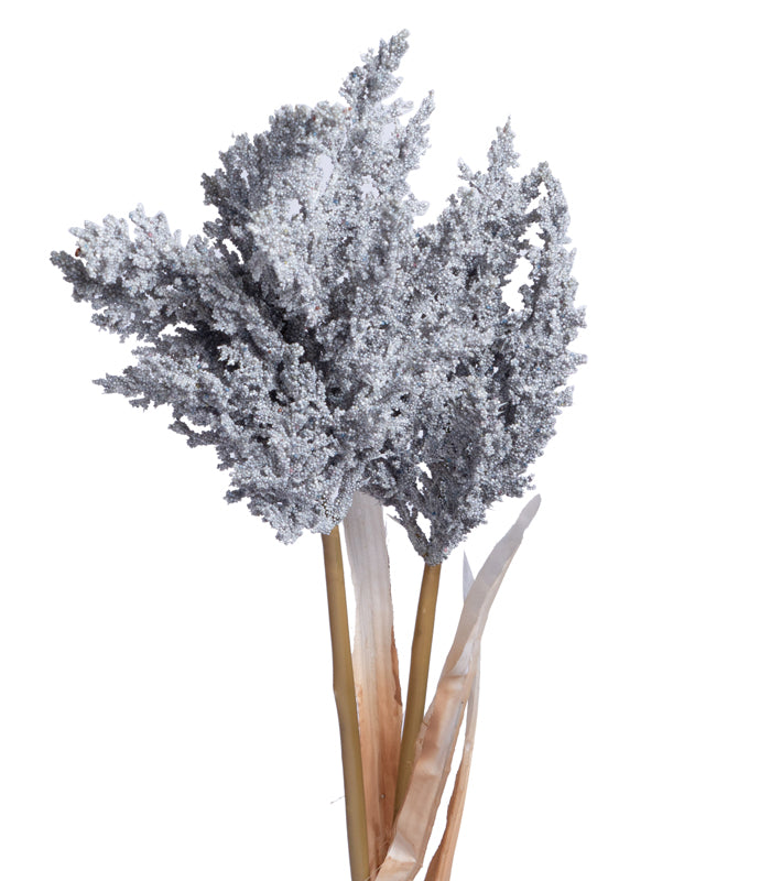 Fern asparagus Grey - set of 2