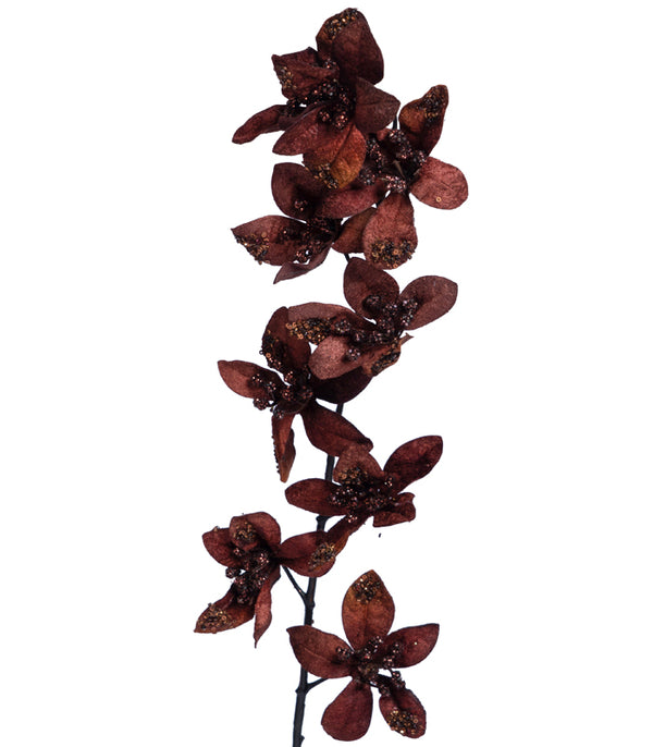 Forsythia Brown - set of 2