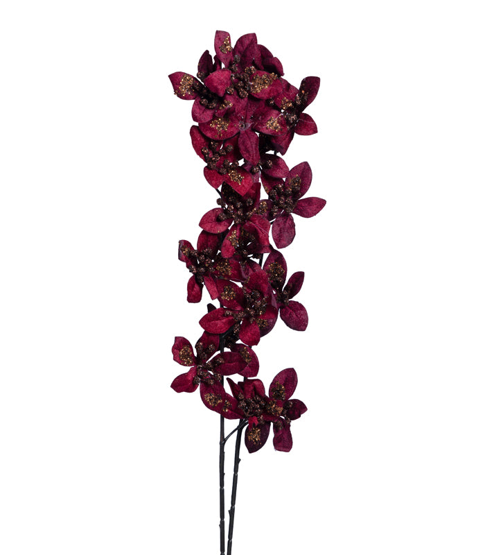 Forsythia Maroon - set of 2