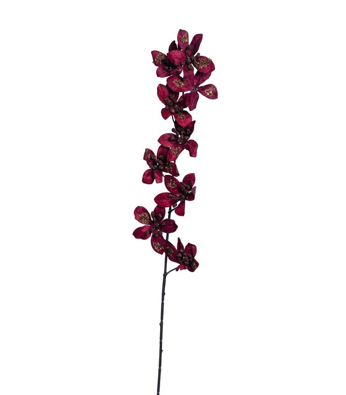 Forsythia Maroon - set of 2