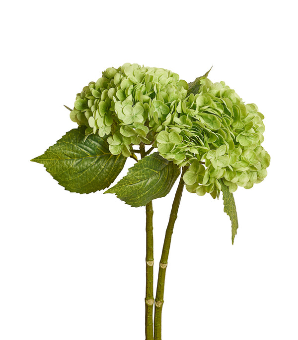 French Hydrangea Green - Set of 2