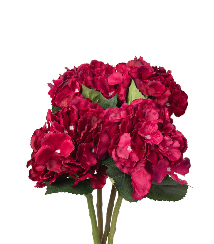 French hydrangea Maroon- Set of 2