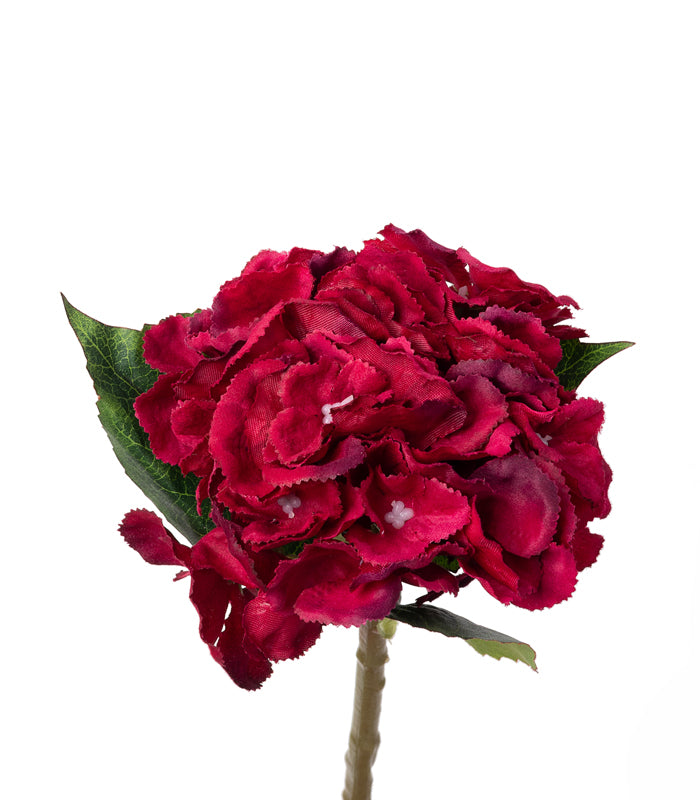 French hydrangea Maroon- Set of 2